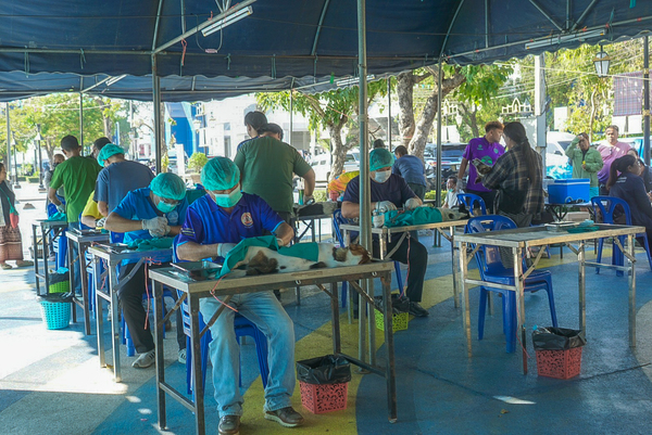 628211036_1282315247260908_1875179422423664287_n.jpg - 330.67 kB