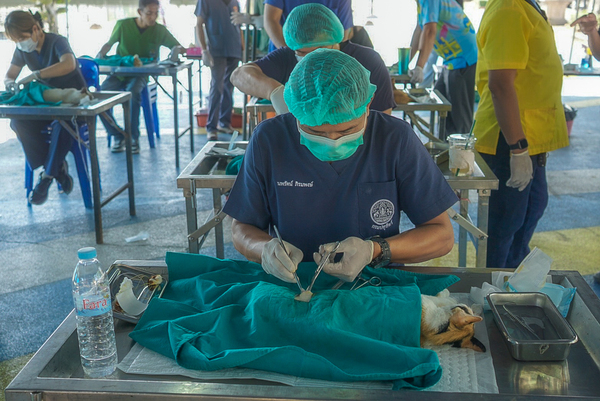 629555910_1282314367260996_4275938357083510353_n.jpg - 274.58 kB