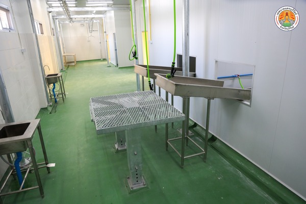 632806882_1287392876753145_2242129408515635376_n.jpg - 56.11 kB