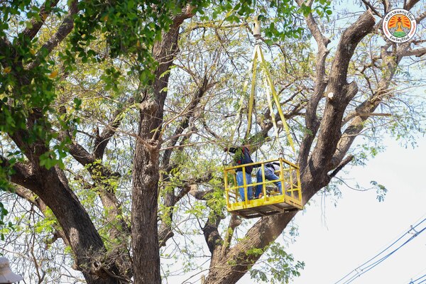 628314064_1282245467267886_945845851218497878_n.jpg - 114.56 kB